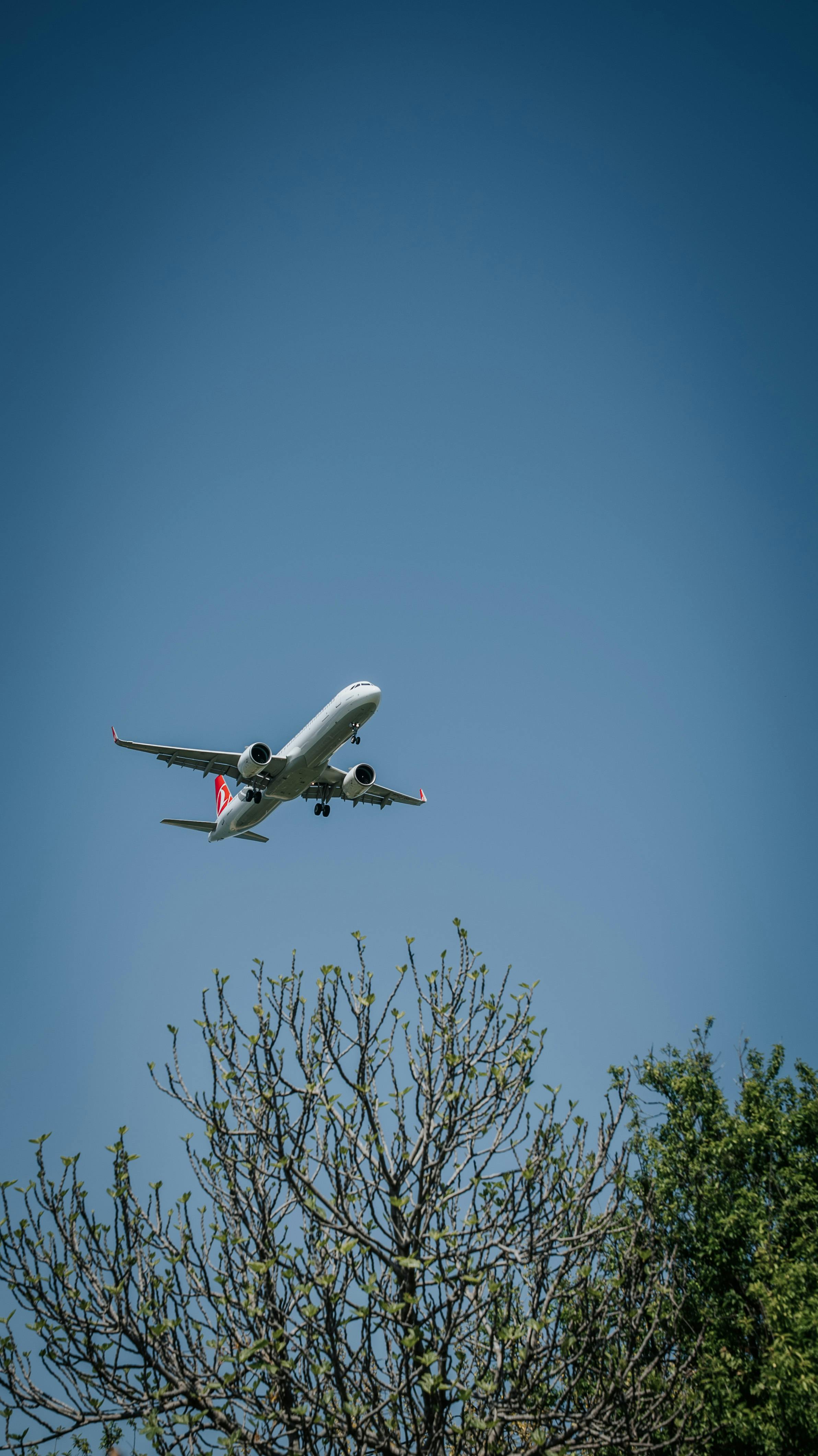 Immigration Worldwide